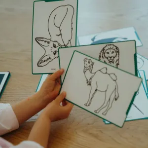 Kidywolf - Kresliaci tablet Kidydraw mini - zvieratá z celého sveta
