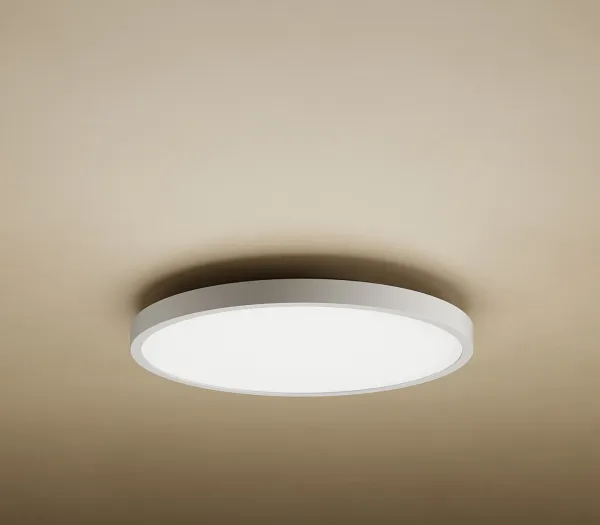 Xiaomi Mi Smart LED Ceiling Light D20
