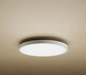 Xiaomi Mi Smart LED Ceiling Light D20