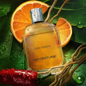 Davidoff Adventure toaletná voda pre mužov 100 ml