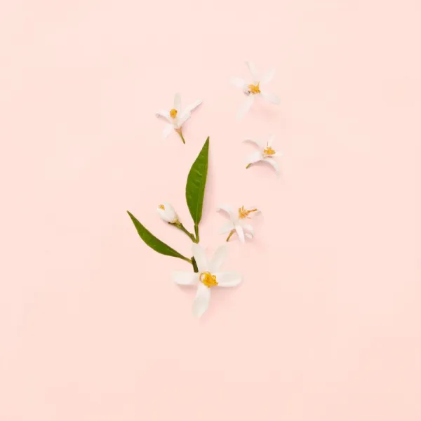 Gucci Bloom toaletná voda pre ženy 100 ml