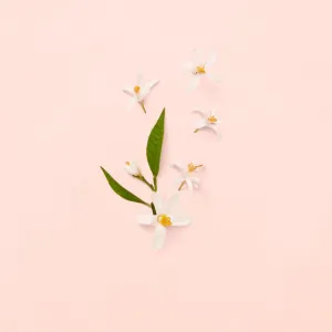 Gucci Bloom toaletná voda pre ženy 100 ml