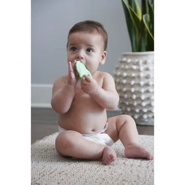 Melii Teethers hryzadielko Dino & Shark 2 ks