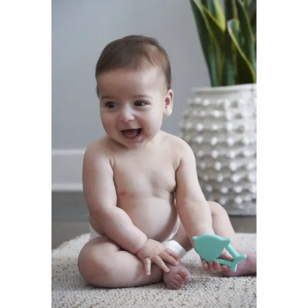 Melii Teethers hryzadielko Dino & Shark 2 ks
