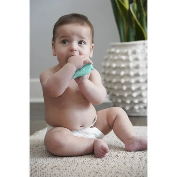 Melii Teethers hryzadielko Dino & Shark 2 ks