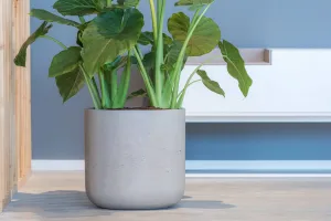 Pottery Pots Kvetináč Charlie, farba starosivá, viac veľkostí - PotteryPots Velikost: XXL - v. 43 cm, ⌀ 44 cm