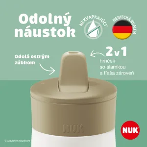 NUK Mini-Me Flip Frozen športová fľaša 12m+ 450 ml