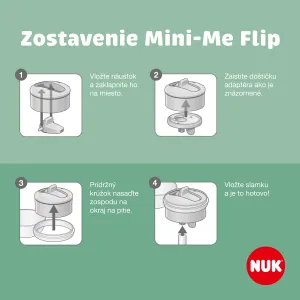 NUK Mini-Me Flip Frozen športová fľaša 12m+ 450 ml
