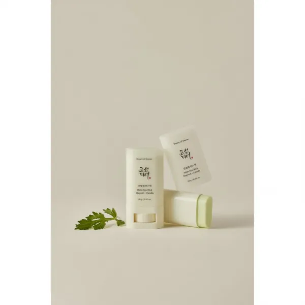 Beauty Of Joseon Matte Sun Stick Mugwort + Camelia opaľovací krém v tyčinke SPF 50+ 18 g