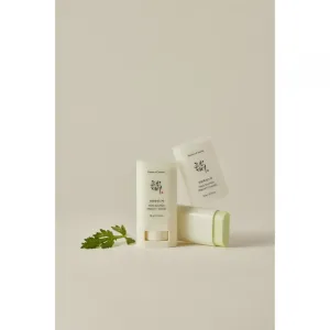 Beauty Of Joseon Matte Sun Stick Mugwort + Camelia opaľovací krém v tyčinke SPF 50+ 18 g