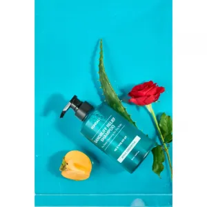 KUNDAL Dandruff Relief Shampoo Apple Green Tea šampón proti lupinám a svrbeniu pre suchú pokožku 500 ml