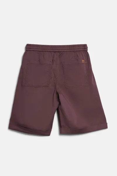 Šortky Camel Active Shorts Brown