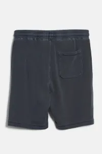 Teplákové Šortky Woolrich Garment Dyed Shorts Dream Blue