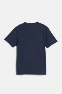 Tričko Woolrich Logo T-Shirt Dream Blue