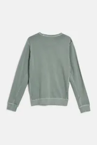 Sveter Woolrich Garment Dyed Crewneck Chinois Green
