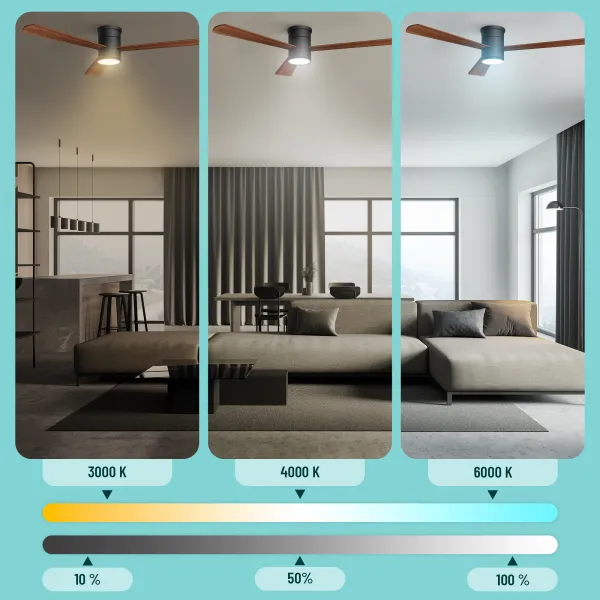Noaton 15132BD Zoya, tmavo hnedá, stropný ventilátor so svetlom