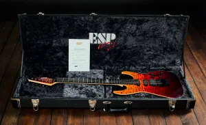 ESP 2020 M-III FR USA + set EMG