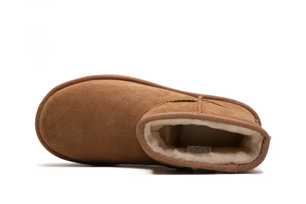 UGG Classic Mini Platform Boot W "Chestnut" (1134991-CHESTNUT)
