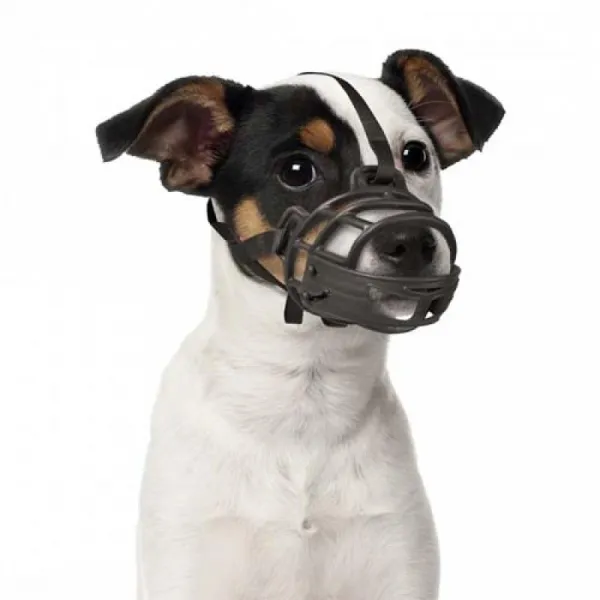 DUVO+ Plastový náhubok XS: Jack Russell, Yorkshire, Terrier, Jazvečík, Maltese