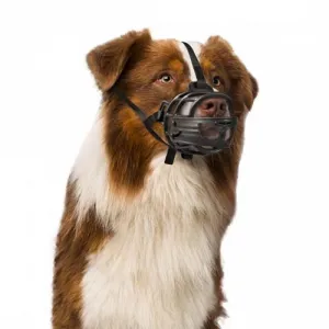 DUVO+ Plastový náhubok S: Beagle, Cocker Spaniel, Border Collie, Poodle