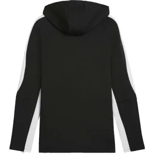 Puma TEAMEVOSTRIPE HOODED JACKET Pánska bunda, čierna, veľkosť