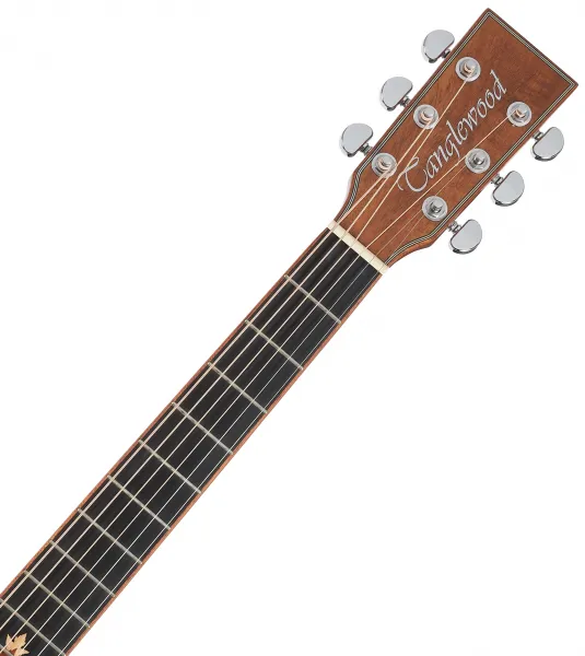 Tanglewood TWX6CE PW
