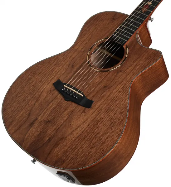 Tanglewood TWX6CE BW