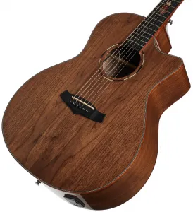 Tanglewood TWX6CE BW