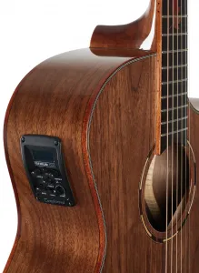 Tanglewood TWX6CE BW