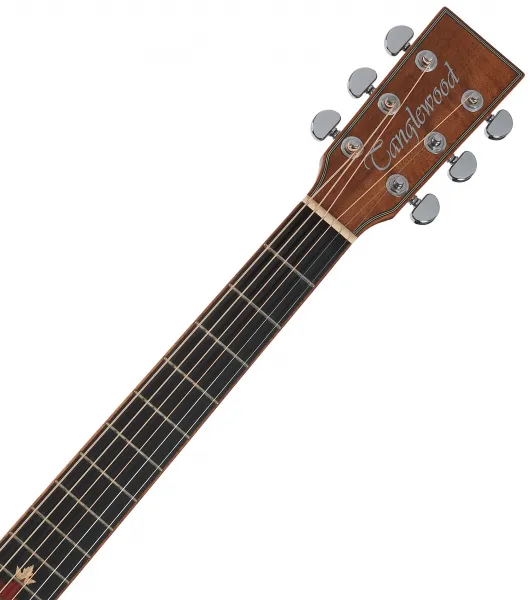 Tanglewood TWX6CE BW
