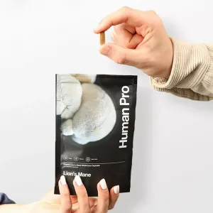Levia hriva – Korálovec ježovitý