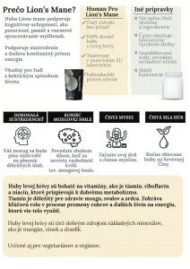 Levia hriva – Korálovec ježovitý