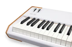 Arturia AstroLab 88