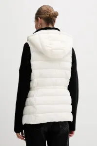 Vesta Dkny