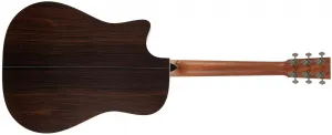 Furch Vintage 1 Dc-SR CNR Active
