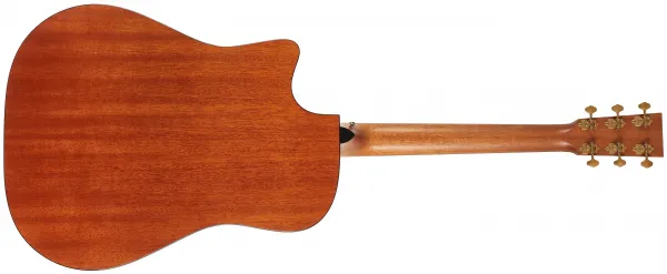 Furch Vintage 1 Dc-SM CNR Active
