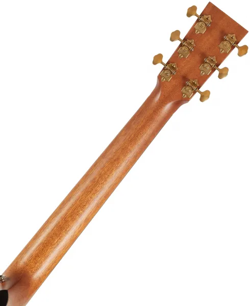 Furch Vintage 1 Dc-SM CNR Active