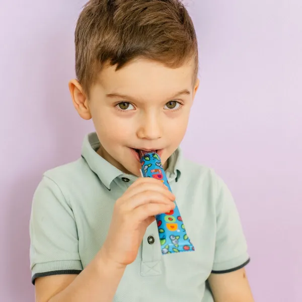 Sergio Fruit Mood ovocná tyčinka brusnica a čučoriedka   kusy 1 ks