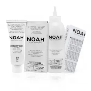 Krémová farba na vlasy čierna Noah 140ml