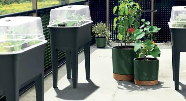 Prosperplast Kvetináč na pestovanie rajčín HOME GROWERO antracit, variant 14,5 l