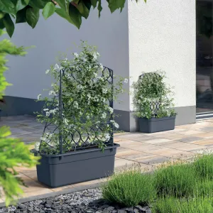 Prosperplast Kvetináč s pergolou Blomas 58 cm antracitový