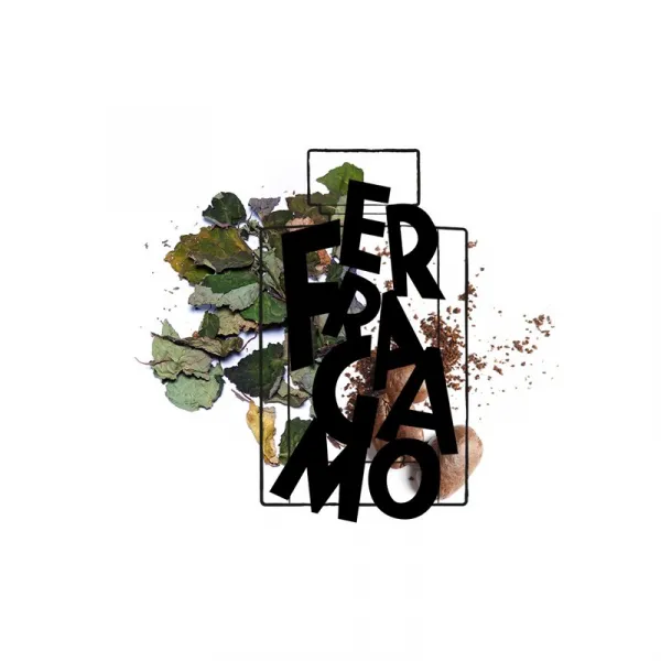 Ferragamo Uomo Signature parfumovaná voda pre mužov 100 ml