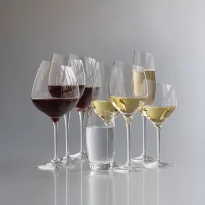 Pohár na červené víno Bourgogne, číry, Eva Solo