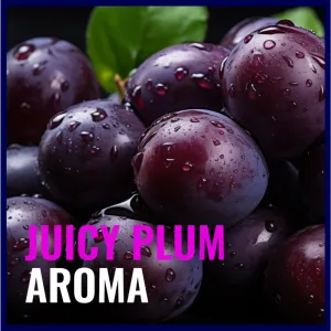 Dermacol Aroma Moment Plummy Monster darčeková sada Plum