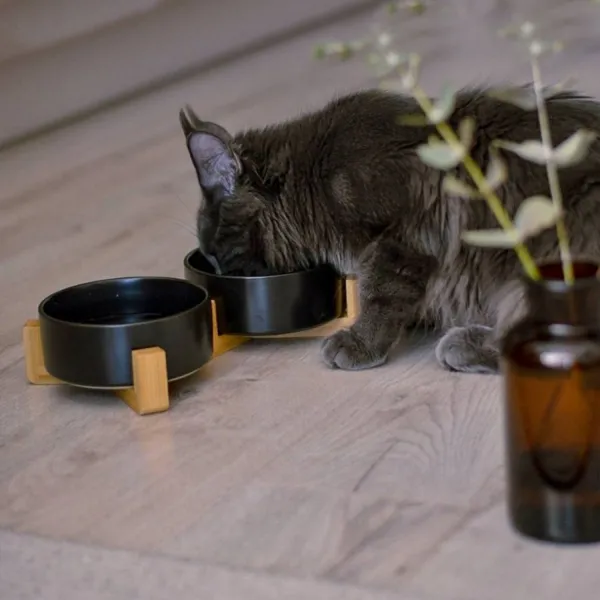 Tutumi Sada 2 ks keramických misek pro psy a kočky Jax 450 ml černá