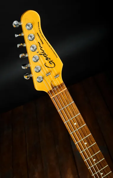 Godin 2013 Session Custom BK