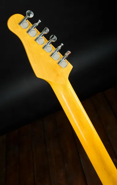 Godin 2013 Session Custom BK