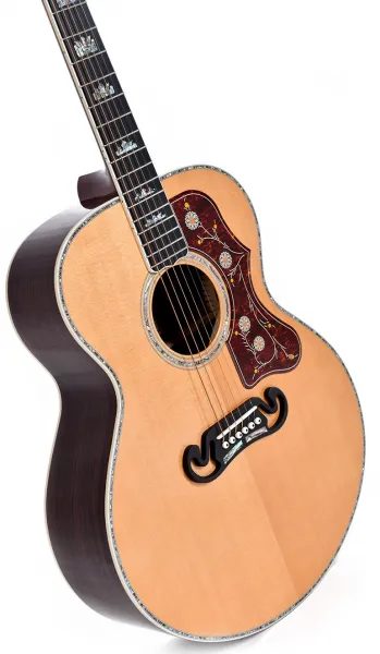 Sigma Guitars GJR-SG300