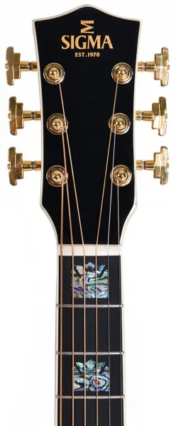 Sigma Guitars GJR-SG300