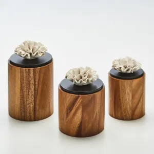 Drevený úložný box Cyla, viac veľkostí - ANOQ Velikost: S - 9,2 x 14 cm